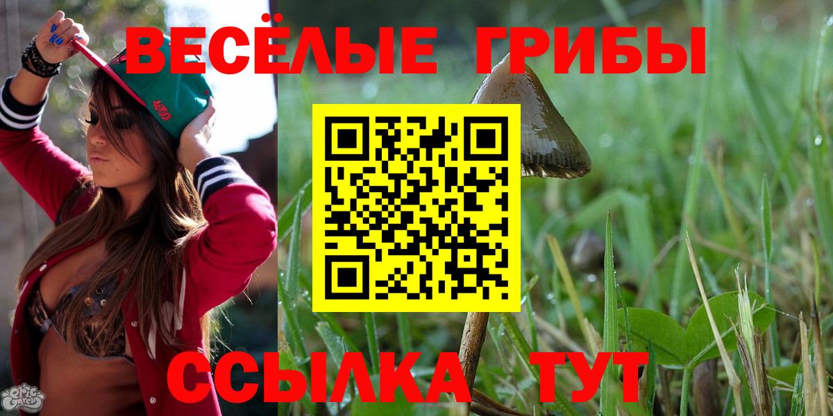 Ярославль  Псилоцибиновые грибы ЛСД  Вход с VPN 